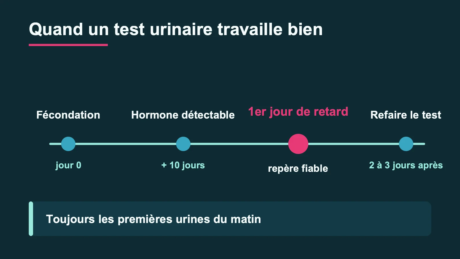 Frise du moment où un test urinaire est fiable : hormone détectable dix jours après la fécondation, repère du premier jour de retard, test à refaire deux à trois jours plus tard avec les premières urines du matin